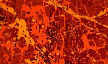 metin için alanı olan grunge arkaplanı   