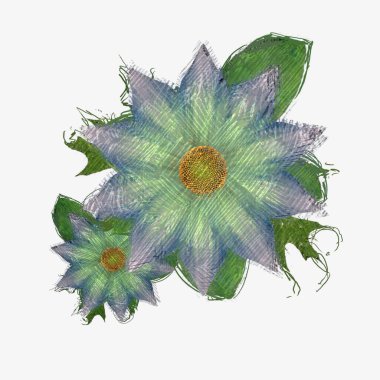 beyaz arkaplanda izole edilmiş çiçek