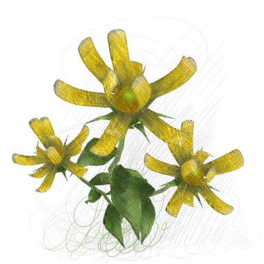 beyaz arkaplanda yeşil yapraklar izole