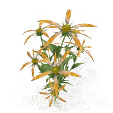 beyaz zemin üzerine suluboya çiçek