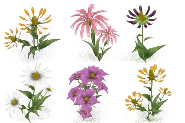 Beyaz arkaplanda güzel çiçekler