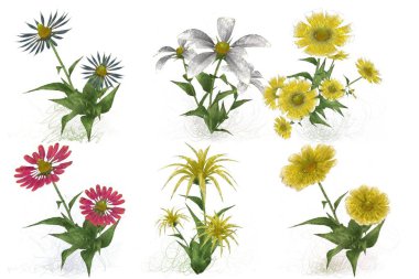 Çiçeklerle kusursuz desen