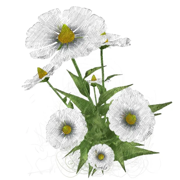Akvarell Virág Meg Egy Szép Virágok — Stock Fotó
