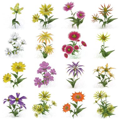 Beyaz arka planda suluboya çiçekler seti