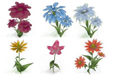 Beyaz arkaplanda izole edilmiş suluboya çiçekleri