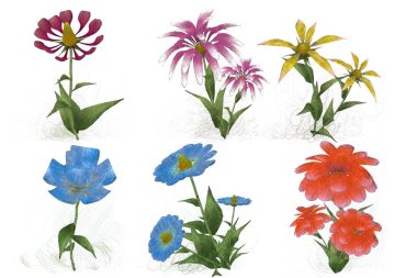 Beyaz arkaplanda güzel çiçekler