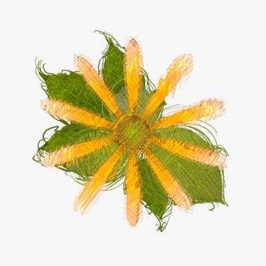 beyaz arkaplanda yeşil yapraklar izole