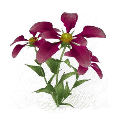 Beyaz arkaplanda izole edilmiş güzel çiçekler