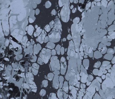 metin için alanı olan grunge arkaplanı     