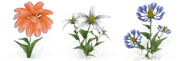 Fleurs Aquarelle Isolées Sur Fond Blanc — Photo