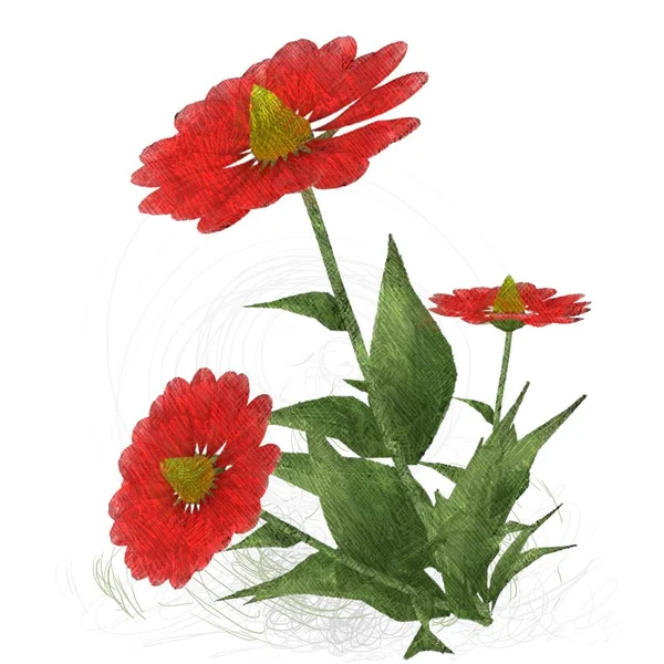 Red Flowers White Background — Stock Photo, Image