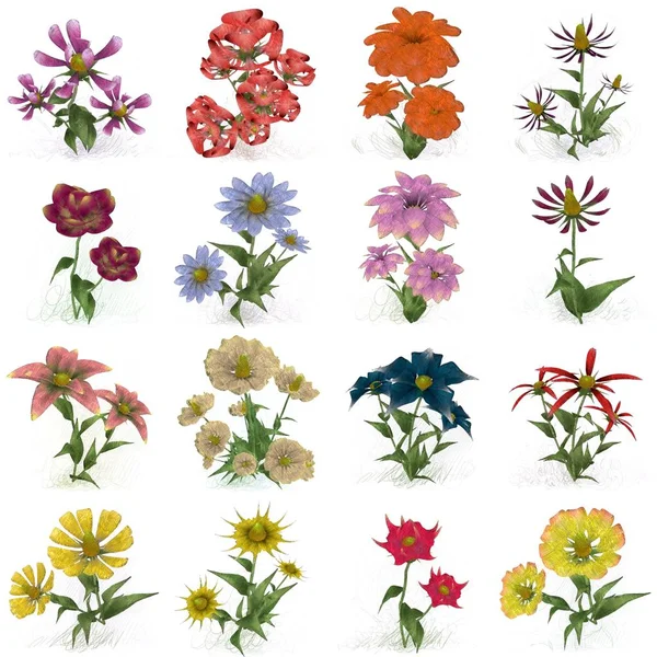Padrão Floral Com Flores — Fotografia de Stock