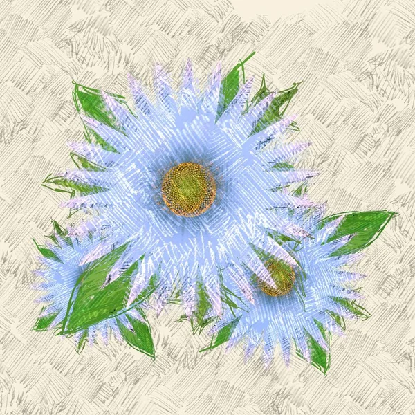 Beyaz arkaplanda çiçek