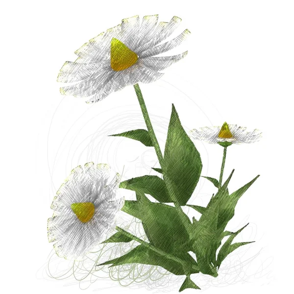 Flores Aquarela Fundo Branco — Fotografia de Stock