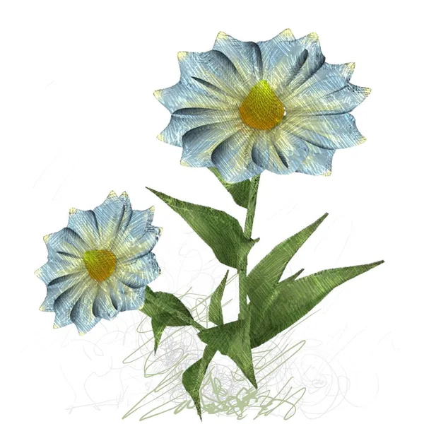 Krásné Květiny Bílém Pozadí — Stock fotografie