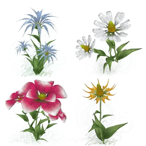 Piękne Akwarela Kwiaty Białym Tle — Zdjęcie stockowe