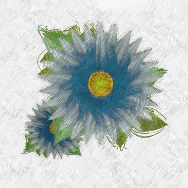 Beyaz arkaplanda çiçek