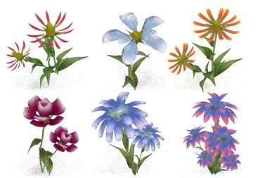 Beyaz arka planda suluboya çiçekler seti