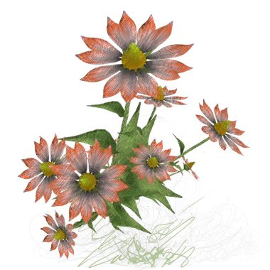 Beyaz arkaplanda güzel çiçekler