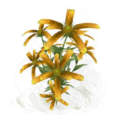 Renkli çiçek doku arka plan 