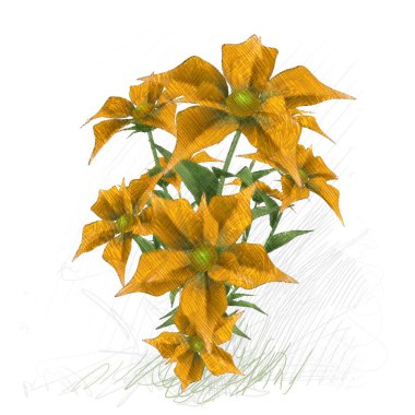 Beyaz arkaplanda güzel çiçekler 