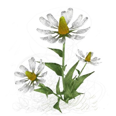 çiçek li suluboya çiçek çiçeği