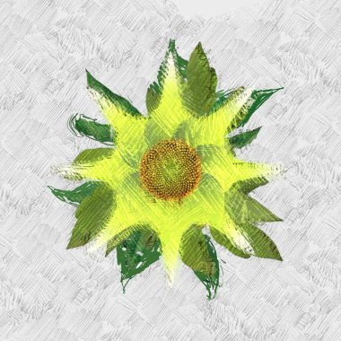 beyaz arkaplanda yeşil yapraklar