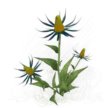 tropikal ağacın vektör illüstrasyon