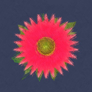 Beyaz arkaplanda kırmızı çiçek