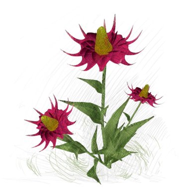 Beyaz arkaplanda güzel çiçekler