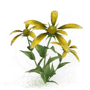 Beyaz arka plan üzerinde izole suluboya