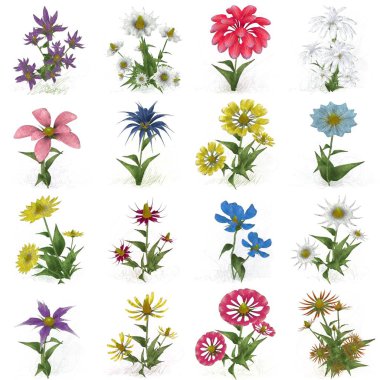 Beyaz arkaplanda güzel çiçekler