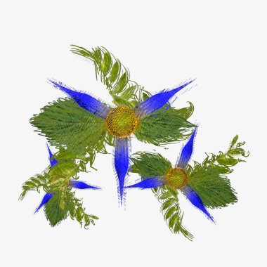 beyaz arka planda noel yaprakları