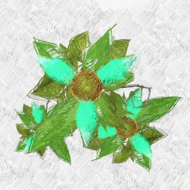 Beyaz bir arka plan üzerinde renkli çiçekler