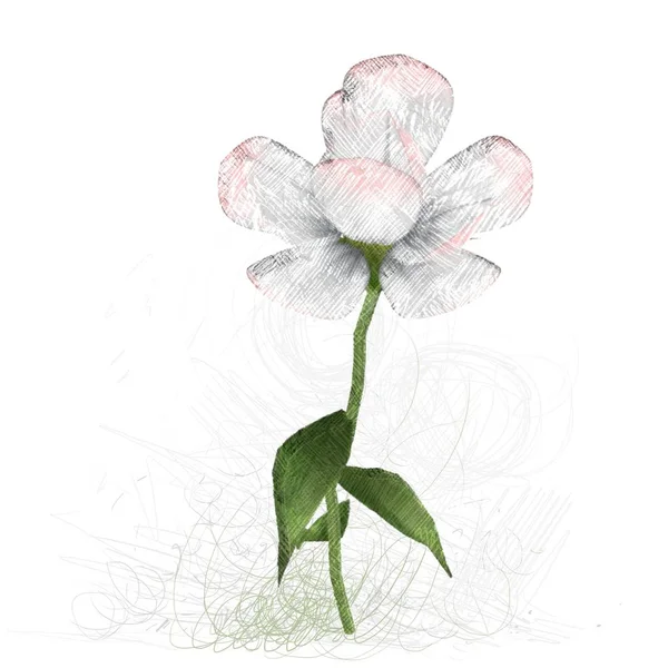 白い背景の上の水彩画の花 — ストック写真
