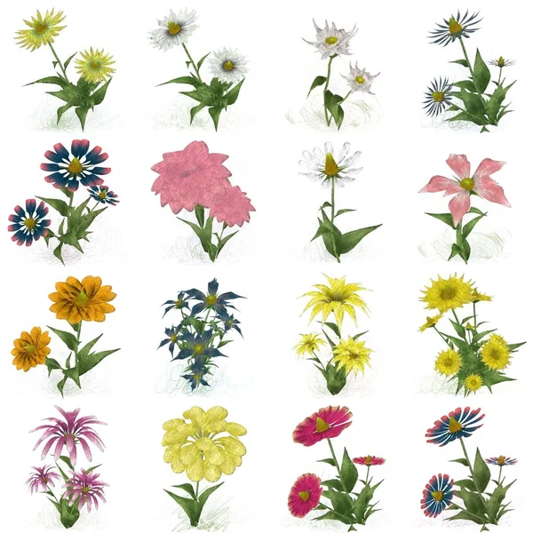 Kwiatowy Wzór Kwiatami — Zdjęcie stockowe
