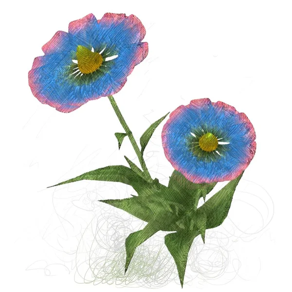 Aquarel Bloem Geïsoleerd Wit — Stockfoto