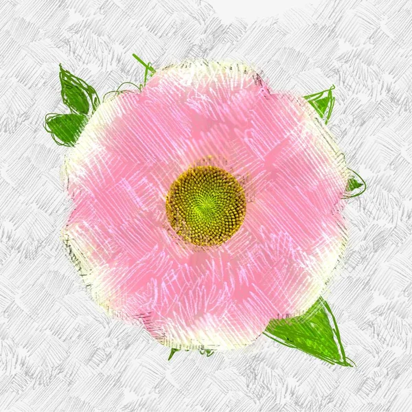 Грязный Цветок Потрепанном Фоне — стоковое фото