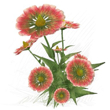 beyaz arkaplanda izole edilmiş çiçek