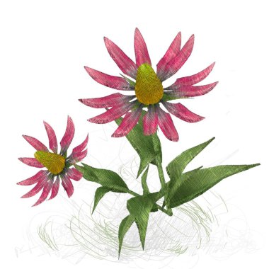 Beyaz arkaplanda güzel çiçekler 