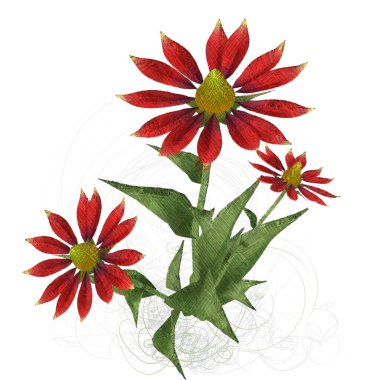 Beyaz arkaplanda güzel çiçekler