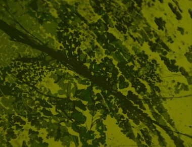 metin için alanı olan grunge arkaplanı   