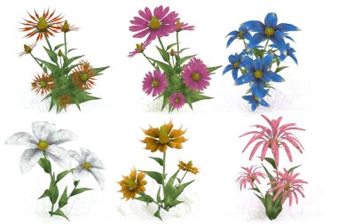 Beyaz arka planda suluboya çiçekler seti