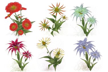 Beyaz arkaplanda izole edilmiş suluboya çiçekleri