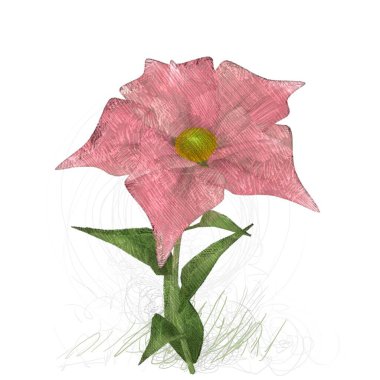 kırmızı gül beyaz arkaplanda izole