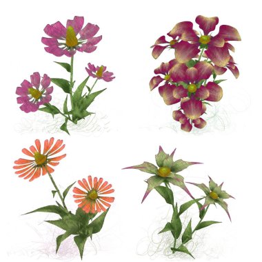 Beyaz arka planda güzel suluboya çiçekler