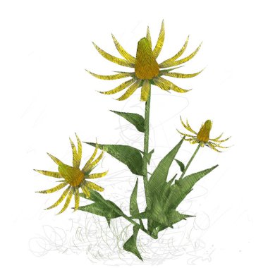 beyaz arkaplanda yeşil yapraklar