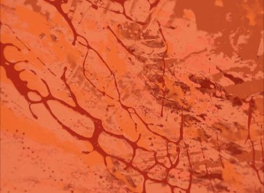 metin için alanı olan grunge arkaplanı