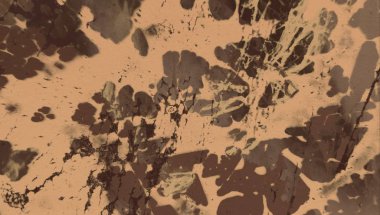 boya lekeleri ile grunge arka plan  