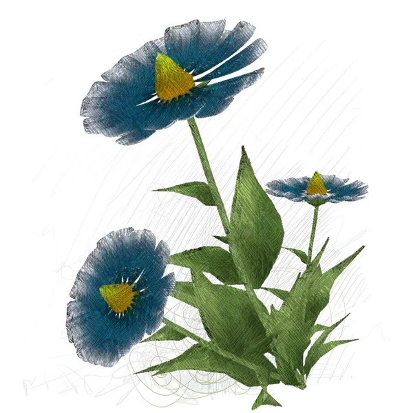 Beyaz Izole Mavi Çiçek — Stok fotoğraf